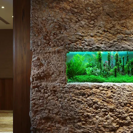 Yusense Hotel-2